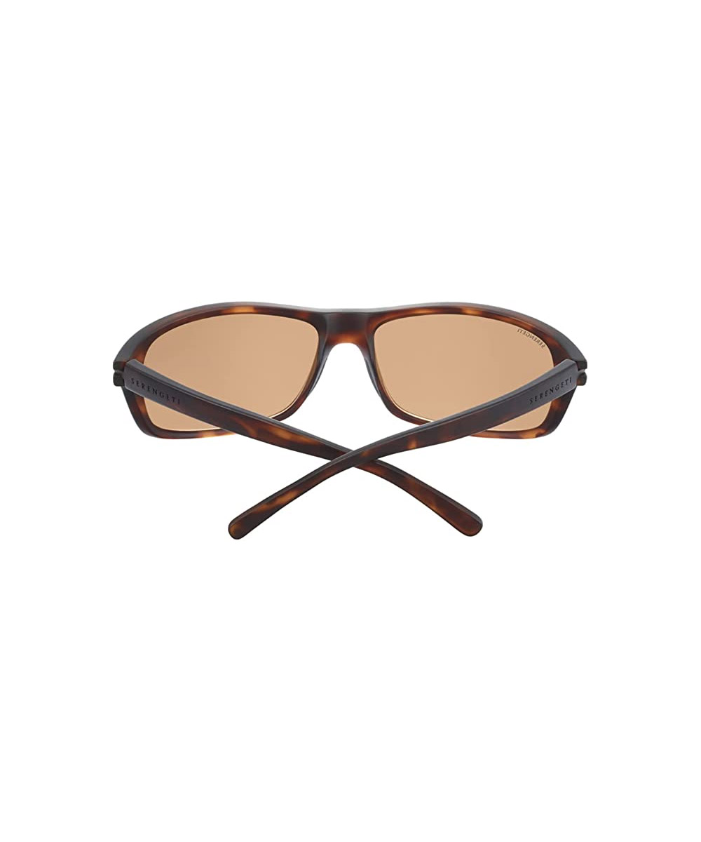 Classic Oblong Acetate Sunglasses 4 Classic Oblong Acetate Sunglasses
