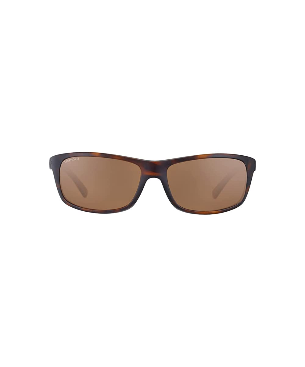 Classic Oblong Acetate Sunglasses 1 Classic Oblong Acetate Sunglasses