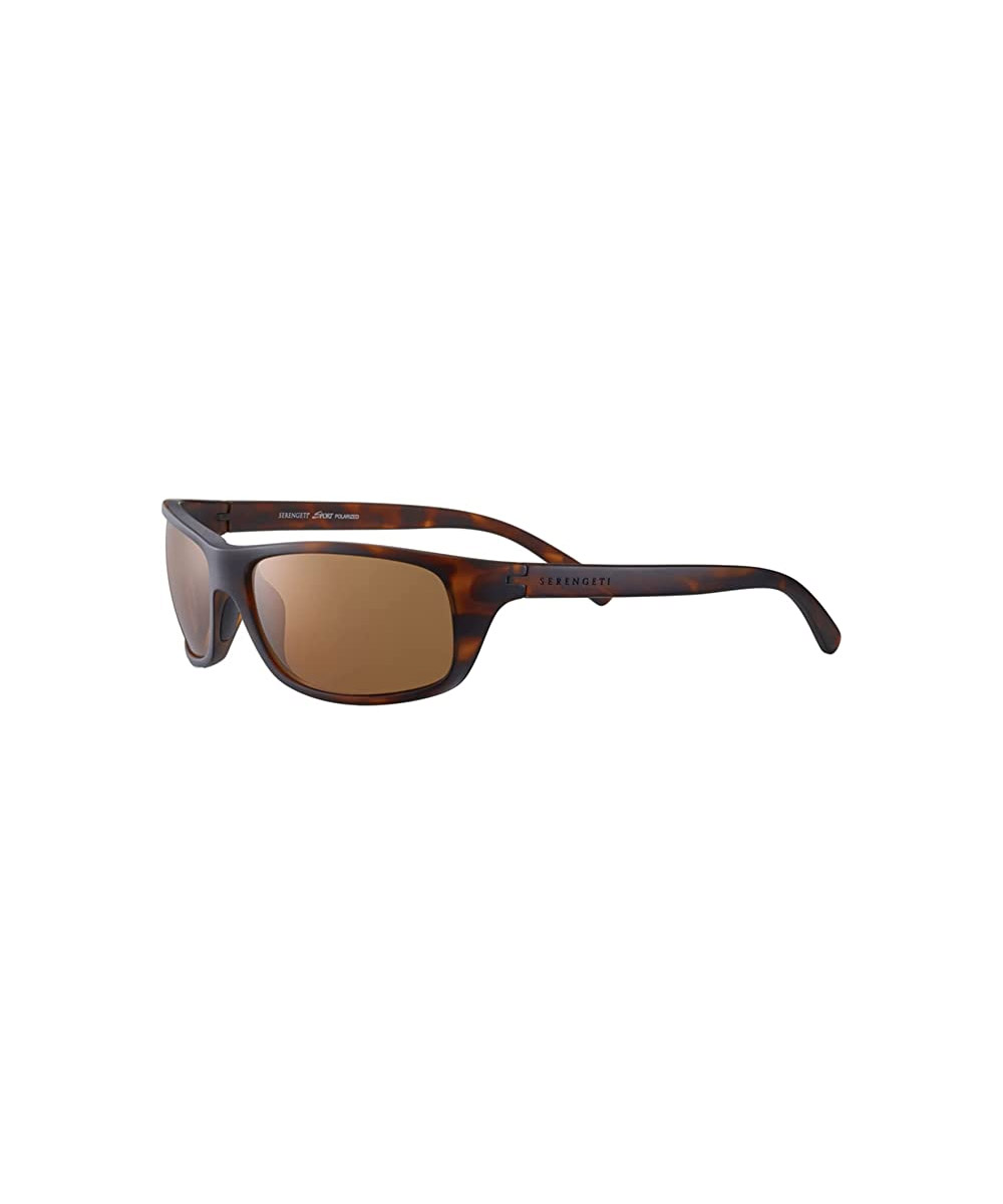 Classic Oblong Acetate Sunglasses 2 Classic Oblong Acetate Sunglasses