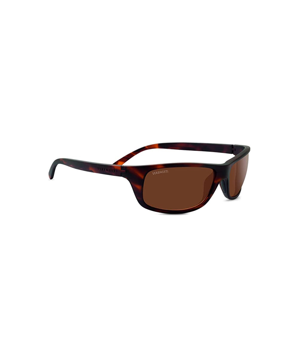 Classic Oblong Acetate Sunglasses 3 Classic Oblong Acetate Sunglasses