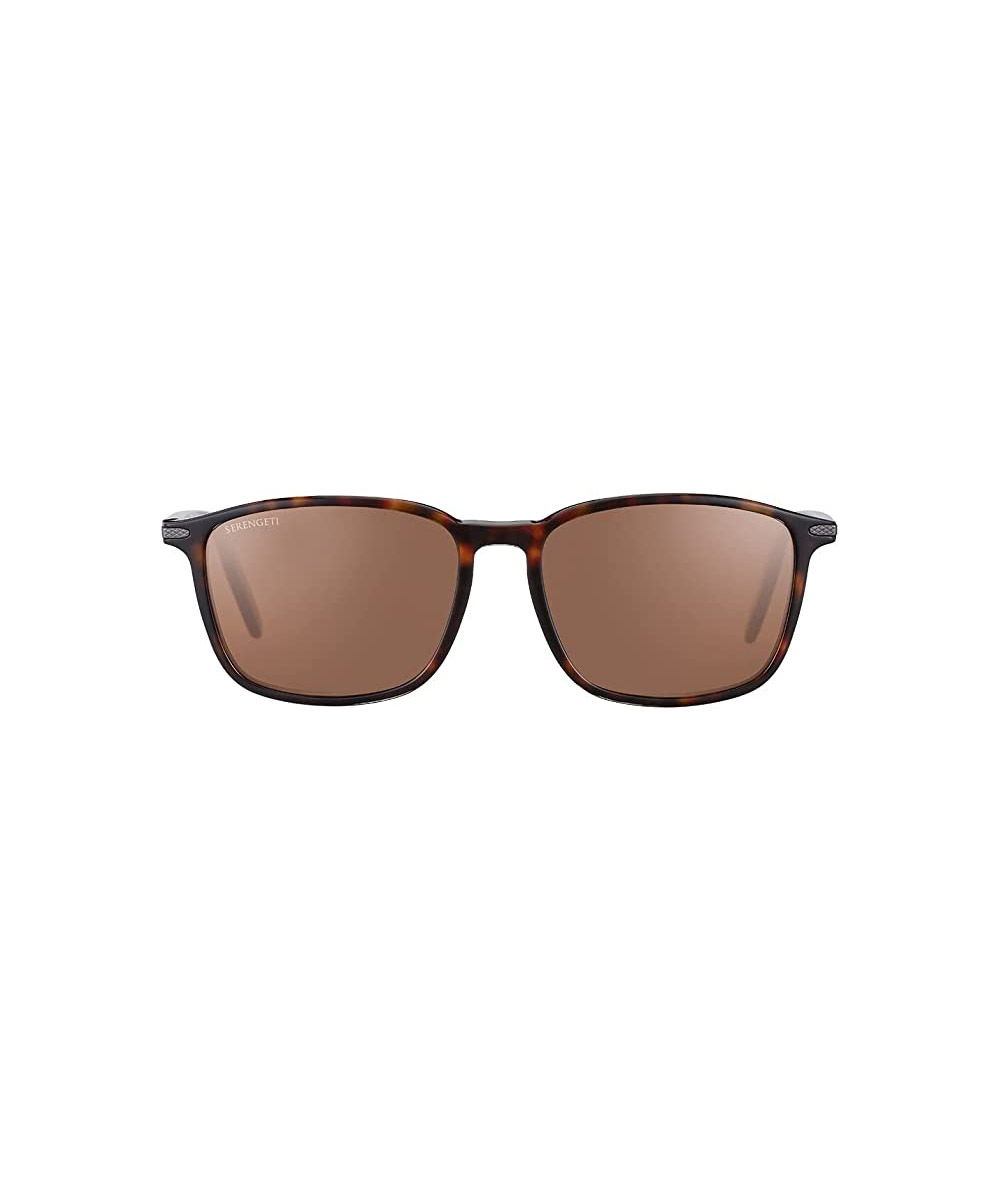 Shiny Dark Havana 1 Shiny Dark Havana